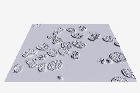 Modelo 3D generado a partir de la imagen de las células